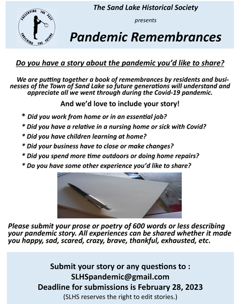Sand Lake Pandemic Remembrances book info